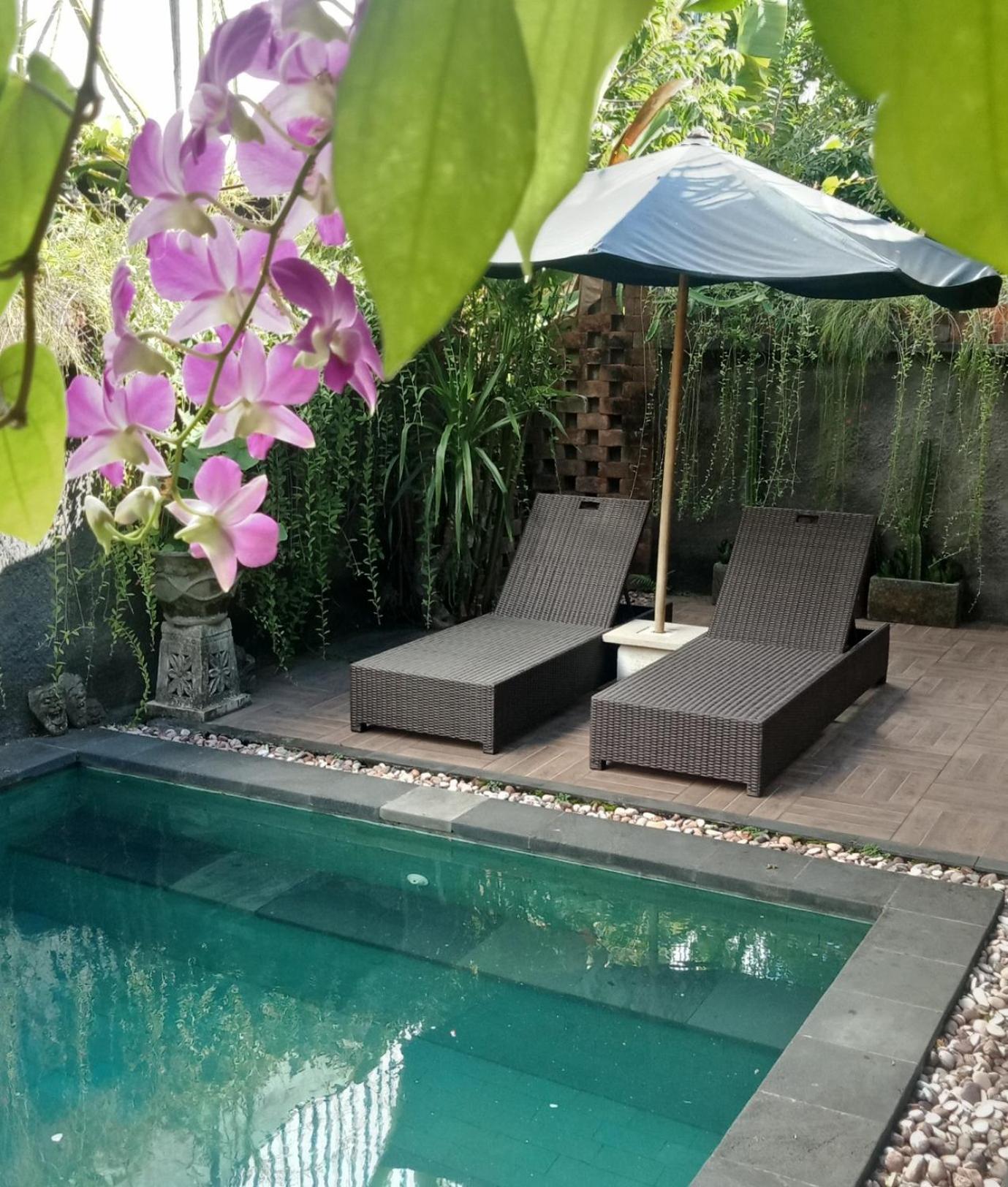 D'Puja Home Stay And Spa نوسا دوا المظهر الخارجي الصورة